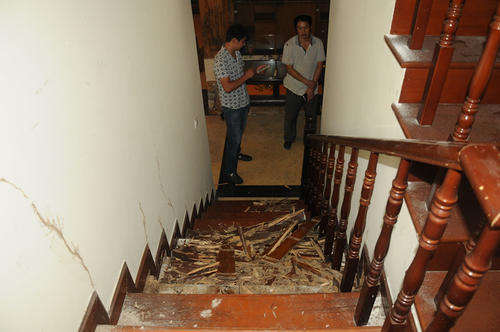 重庆白蚁防治常用的五种方法