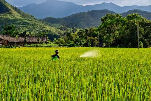 重庆杀虫公司介绍生物类消毒法有哪些？