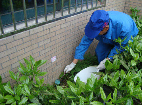 为什么灭白蚁公司越来越受欢迎