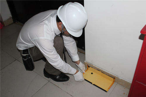 如何使用物理方法灭鼠