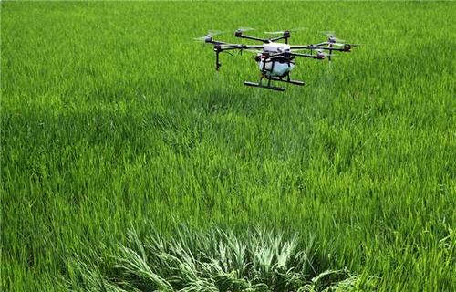 户外杀虫需要做好哪些安全措施